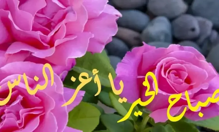 صباح الخير حبيبي