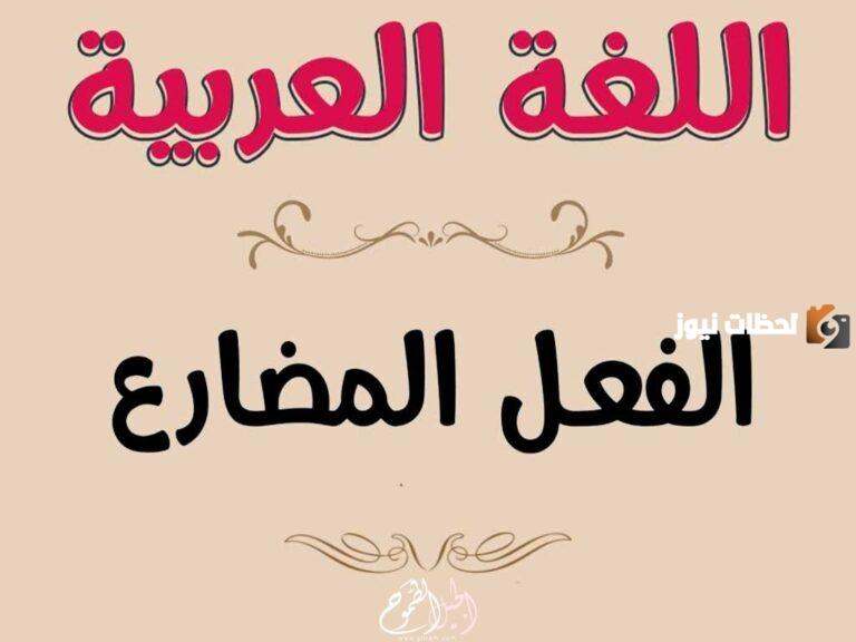 مثال على الفعل المضارع صحيح الآخر في اللغة العربية