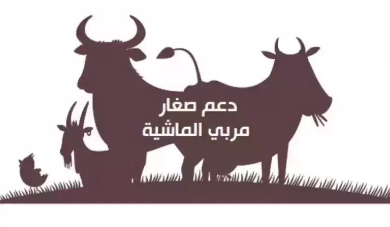 ما هي خطوات تحديث البيانات في دعم صغار مربي المواشي في السعودية 1447