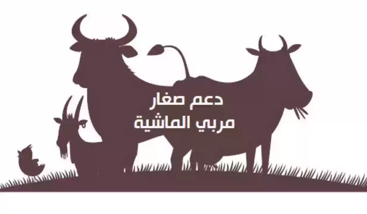 ما هي خطوات تحديث البيانات في دعم صغار مربي المواشي في السعودية 1447