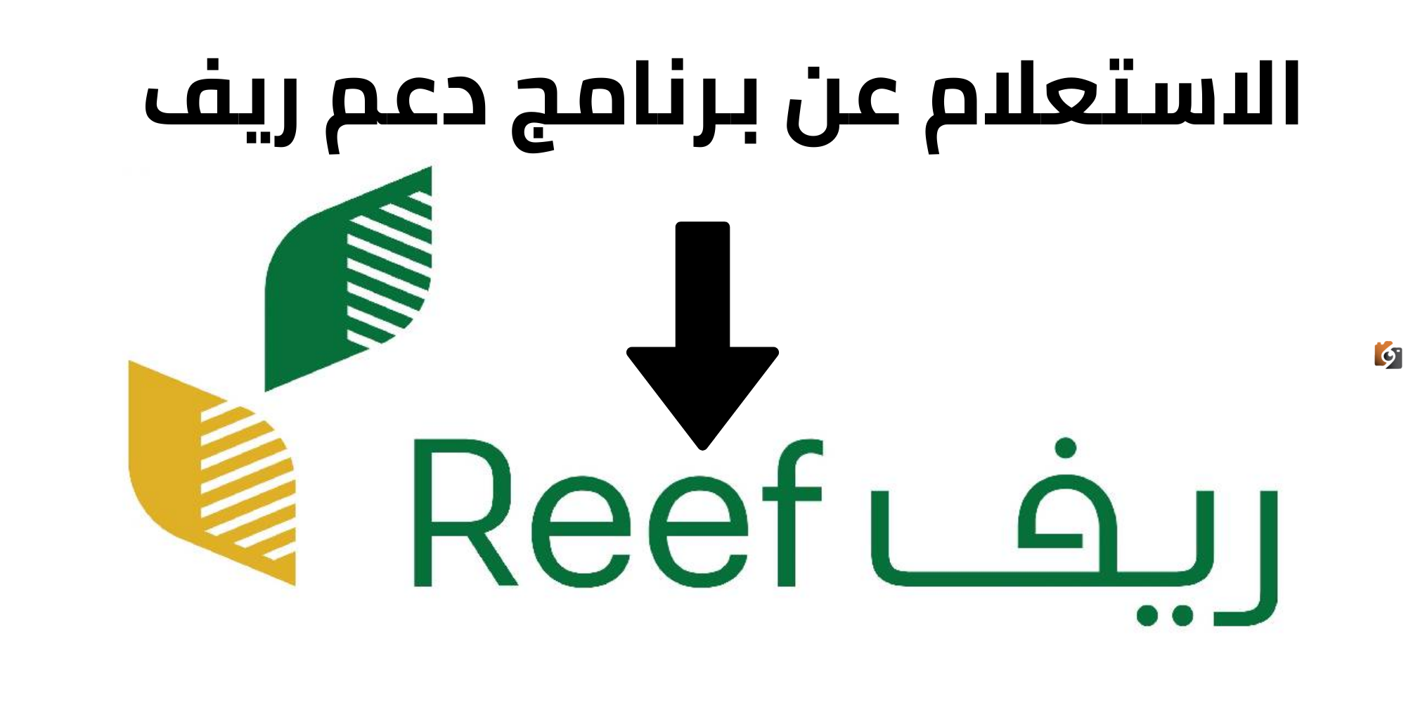 كيف يمكنني الاستعلام عن نتائج أهلية دعم ريف Reef.gov.sa وما هي أسباب رفض الطلب 2025