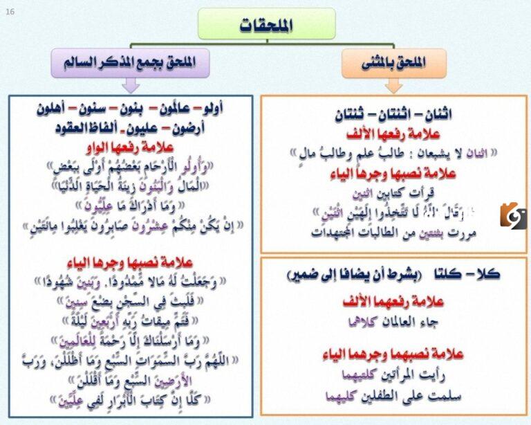شرح كامل لدرس الملحق بجمع المذكر السالم