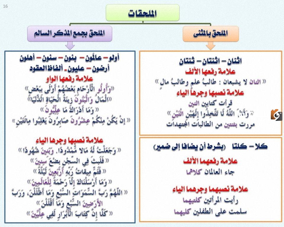 شرح كامل لدرس الملحق بجمع المذكر السالم