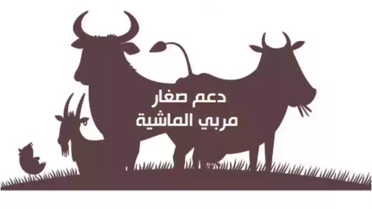 شروط استحقاق دعم المواشي وما هي خطوات الاستعلام برقم الهوية ؟