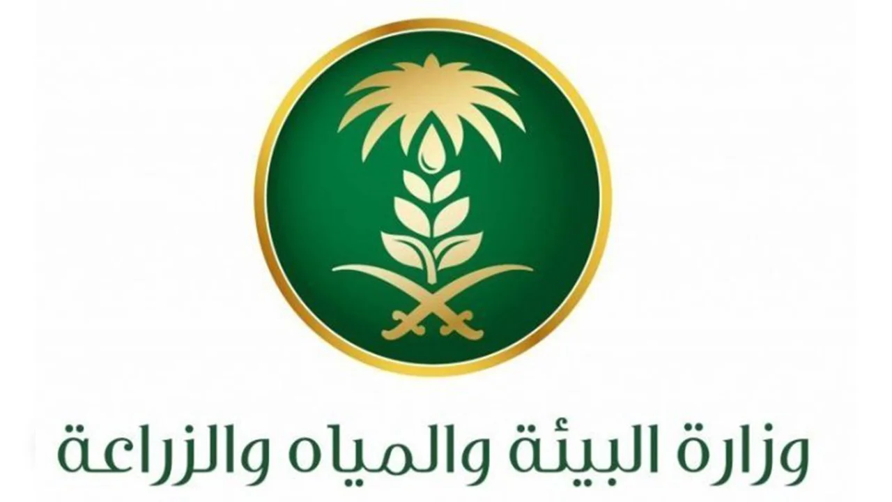 دعم المواشي .. شروط الحصول عليه والأوراق المطلوبة للحصول على الدعم