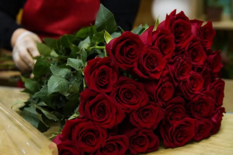 صور ورد احمر جديدة 2025 بوكيهات جديدة