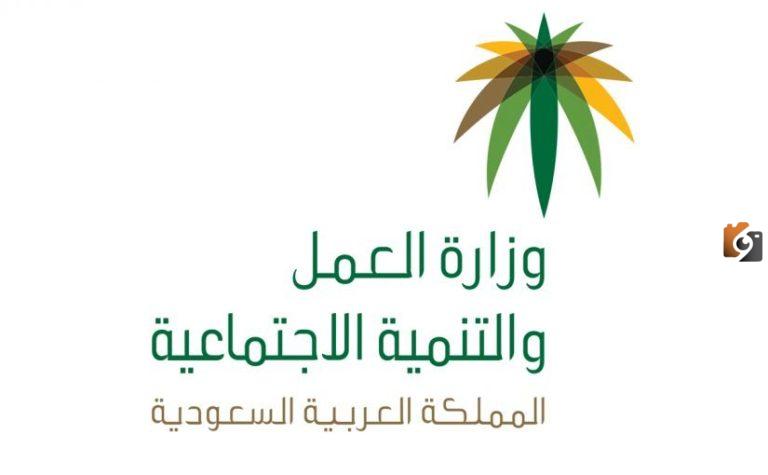 عبر منصة مدد اليك طريقة الاستعلام عن توثيق عقد العمل 1447