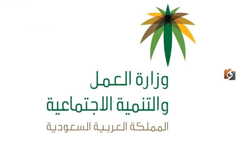 عبر منصة مدد اليك طريقة الاستعلام عن توثيق عقد العمل