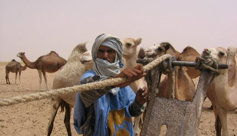 قبيلة الحاتمي وش يرجع من وين قبيلة الحاتمي؟