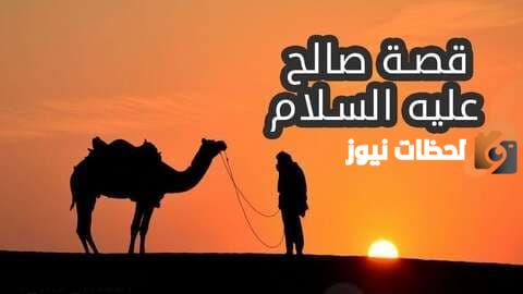 قصة النبي صالح مع قومه ثمود