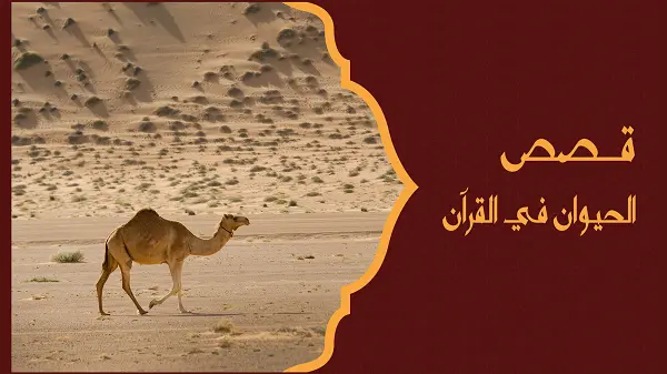 قصص الحيوان في القرآن
