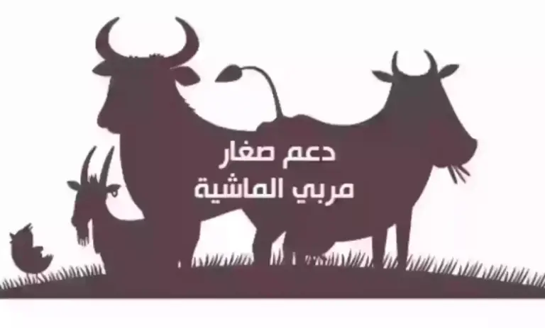 كيف يمكنك الدخول على بياناتي في دعم ال مواشي1447 بالخطوات