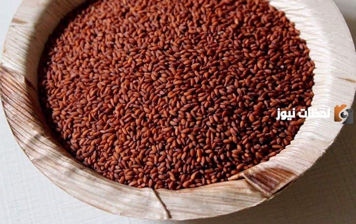 كيفية استخدام حب الرشاد