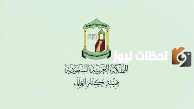 للفتاوي الدينية .. اليكم واتساب دار الافتاء السعودية  1447