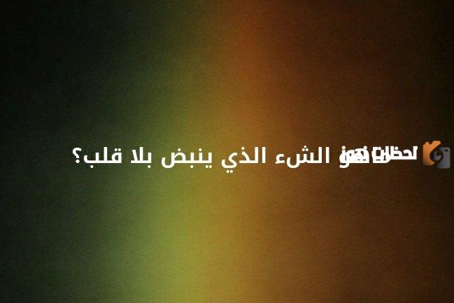 الإجابة الصحيحة | ما هو الشيء الذي ينبض بلا قلب