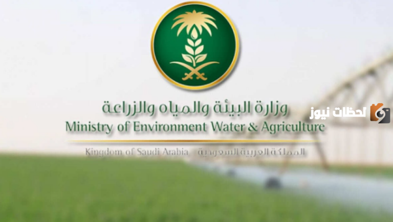 في نظام انعام.. ما هى كيفية تحديث البطاقه الصحيه 2025؟