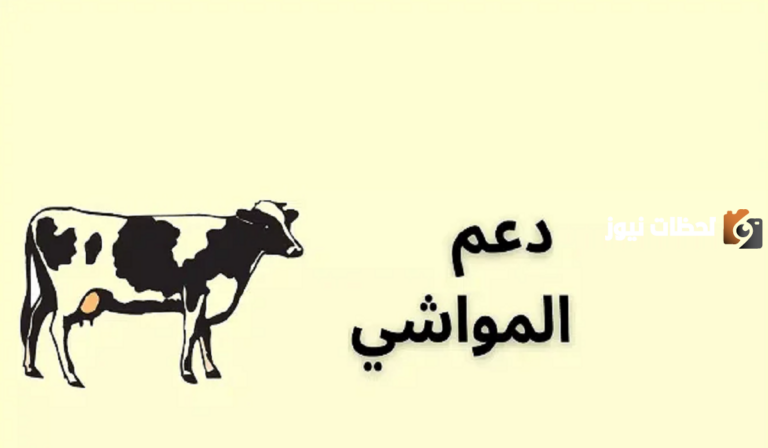 ما هي خطوات الاستعلام عن دعم مربي المواشي 1447 وما هي شروط استحقاقه ؟