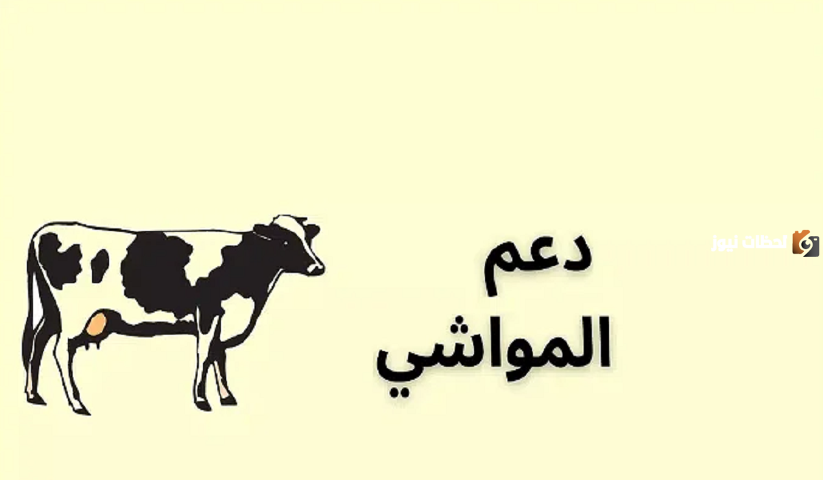 ما هي خطوات الاستعلام عن دعم مربي المواشي 1447 وما هي شروط استحقاقه ؟