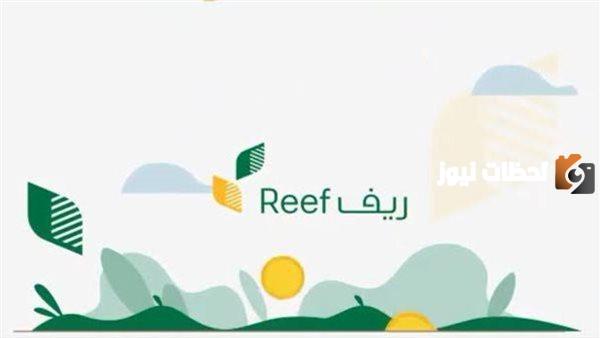 ما هي شروط الحصول على دعم ريف عبر رابط التقديم reef.gov