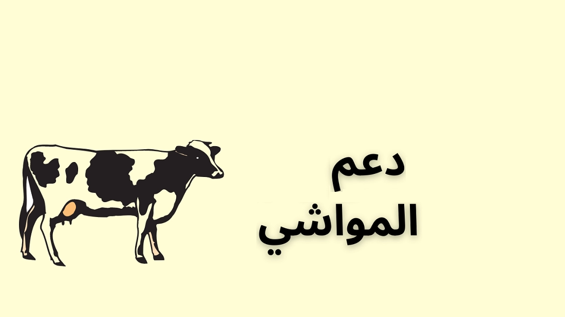 ما هي طريقة الاستعلام عن دعم المواشي النفاذ الوطني 1447 وما هي شروط الحصول على الدعم