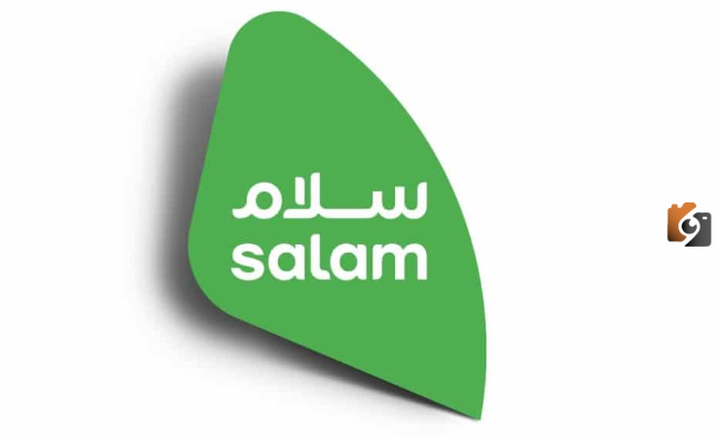 ما هي طريقة معرفة فاتوره سلام موبايل 1447؟