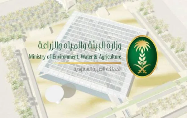 مبادرات لتنمية زراعة البن بالمملكة العربية السعودية تطلقها البيئة والمياه 1447