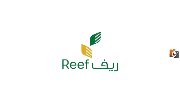 مع اقتراب موعد الصرف ريف يُعلن عن خطوات الاستعلام المفصلة عن الدعم