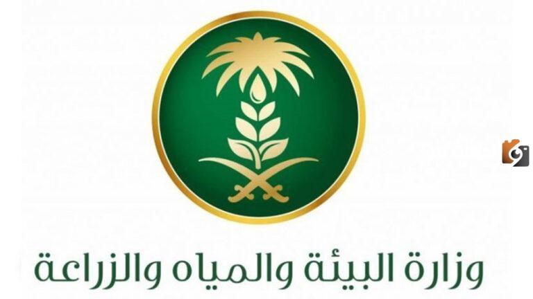 موعد صرف معونة مربي المواشي وحاسبة الدعم 1447 وما هي شروط الاستحقاق