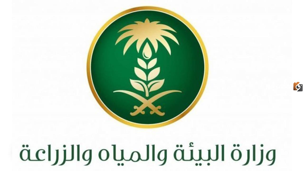 موعد صرف معونة مربي المواشي وحاسبة الدعم 1447 وما هي شروط الاستحقاق