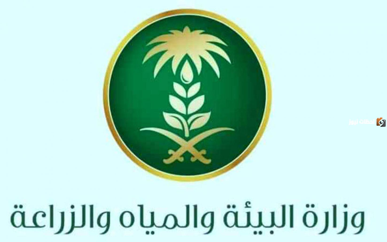 للتقديم الآن .. وظائف وزارة البيئة والمياه والزراعة تعلن عن 100 وظيفة الان