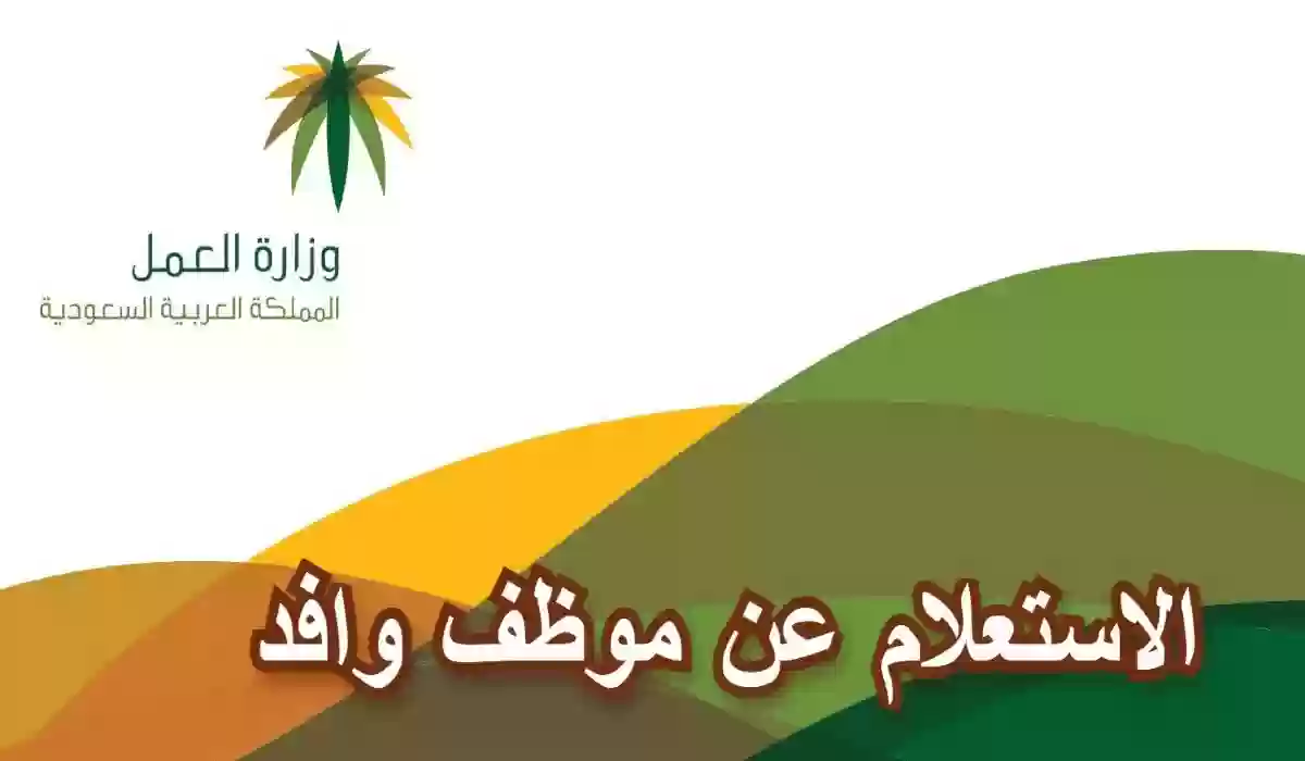 كيفية الاستعلام عن موظف وافد 1447 برقم الهوية ورقم الحدود؟ اكتشف الرابط هنا