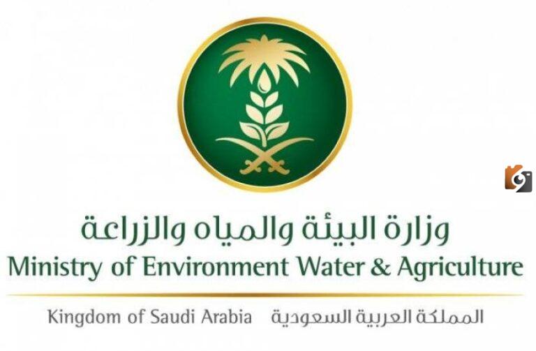 وزارة البيئة والزراعة توضح الشروط اللازمة لإنشاء أسواق النفع العام الجديدة