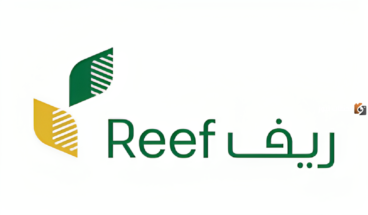 تفاصيل عن هل دعم ريف يؤثر على نظام حساب المواطن؟ 