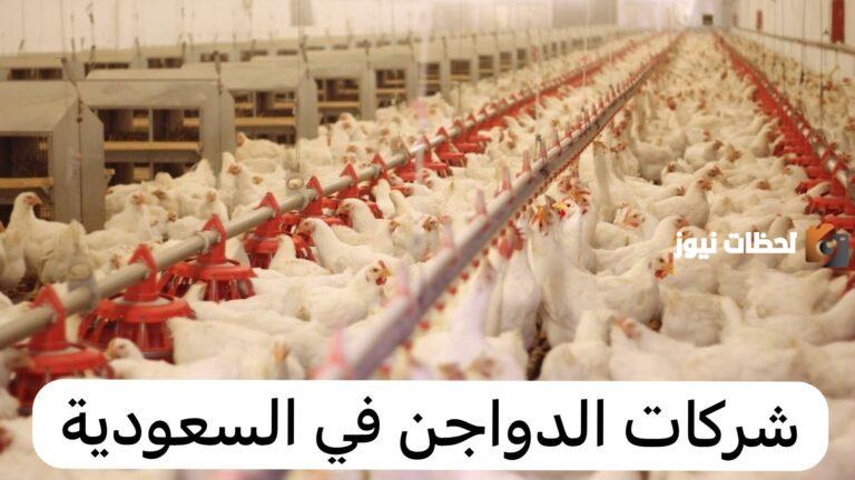 من بينها الوطنية.. تعرف على أهم شركات الدواجن في السعودية