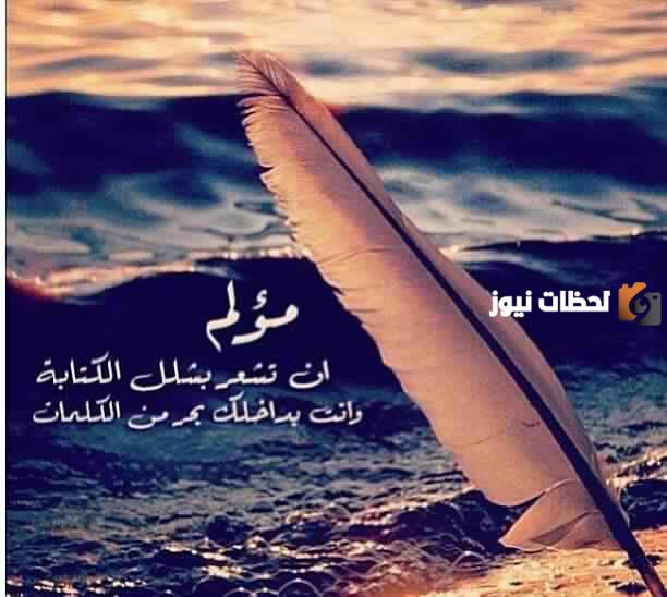 حكمة رائعة عن الحياة تويتر