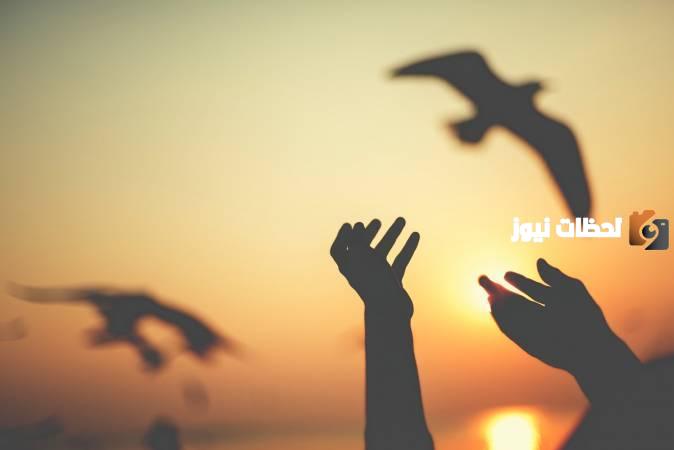 كلام في الحياة بالانجليزي مترجمة