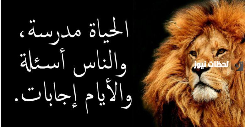 اقوال وحكم مأثورة عن الصداقة