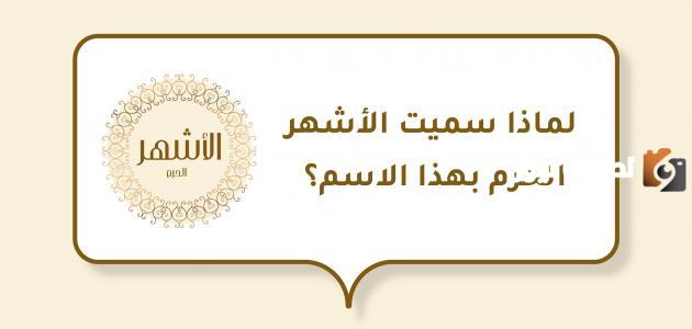 لماذا سميت الاشهر الحرم بهذا الاسم