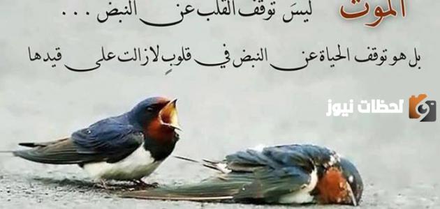 حكم جميلة عن الدنيا والآخرة