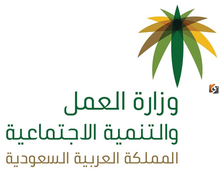 هل نقل الكفالة مجاناً في نظام العمل الجديد؟.. كيفية الاعفاء من رسوم نقل الكفالة وما هي قيمة هذه الرسوم؟