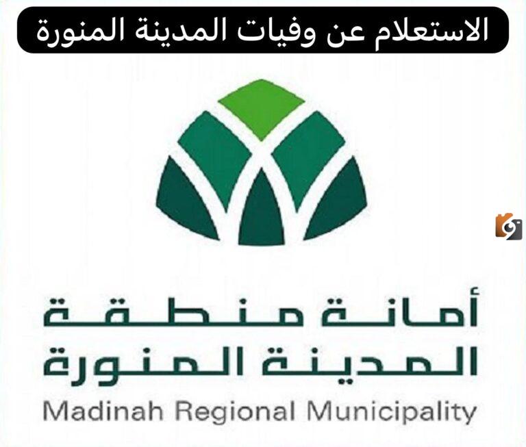 كيف استعلم عن وفيات المدينة المنورة؟ خطوات الاستعلام عن وفيات المدينة المنورة في السعودية عبر أمانة المدينة المنورة