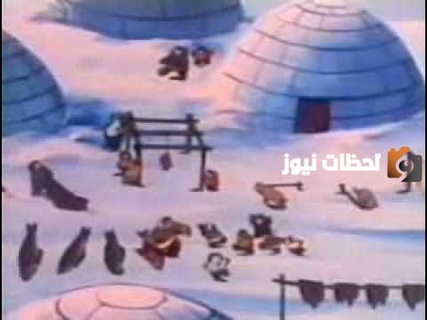 قصة السيدة العجوز والدب الأبيض