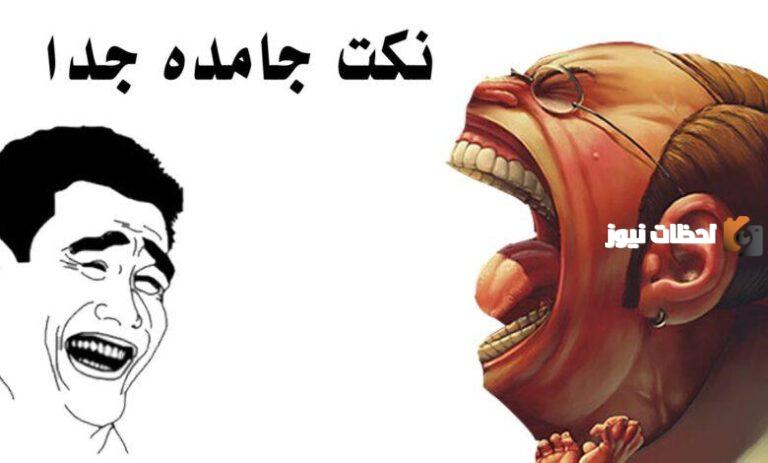20+ نكت جديدة 2025 مصرية شعبية جدا