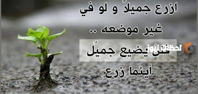 أجمل حكم وعبر مؤثرة