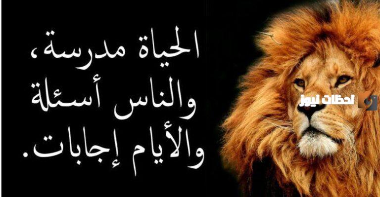 أجمل عبر وحكم عن الحياة مؤثرة جدا