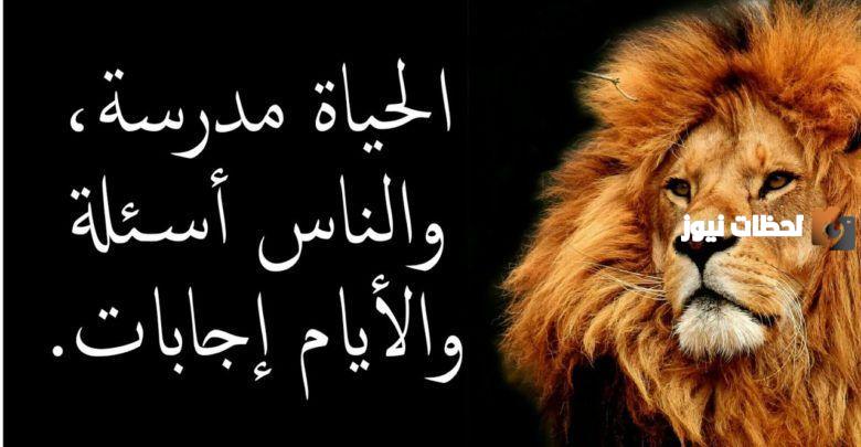 أجمل عبر وحكم عن الحياة