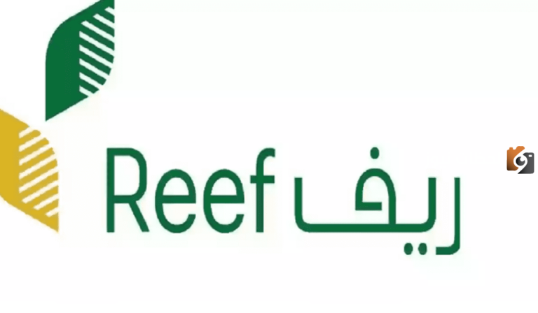 ماهي خطوات الاستعلام عن دعم ريف 1447 وما شروط استحقاقه