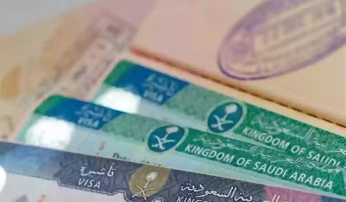 طريقة إصدار تأشيرة المرور الإلكترونية جوا لزيارة المملكة وتفاصيلها 1447