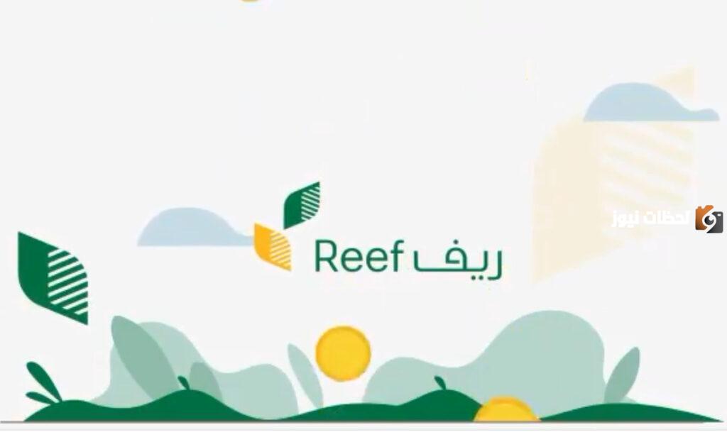 عاجل.. دعم ريف يوضح القطاعات المشمولة والمميزات النسبية للمستفيدين بمنطقة نجران