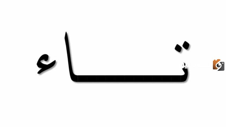الفرق بين التاء المربوطة والتاء المفتوحة